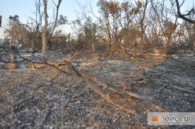 Τα σχόλια δικά σας!