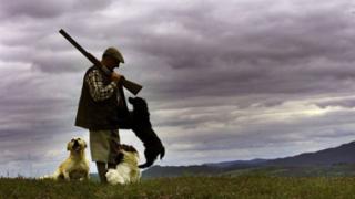 Ευνοϊκές ρυθμίσεις σχετικά με την ανανέωση των αδειών κατοχής κυνηγετικών όπλων.