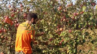 'ΜΠΟΡΟΥΜΕ στο χωράφι': Αξιοποίηση περισσευούμενης αγροτικής παραγωγής προς όφελος κοινωφελών οργανώσεων.