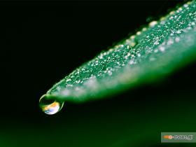 Πανέμορφα εδώ, στο δασάκι στην Αισύμη!