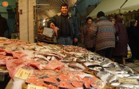 Fresh fish always.