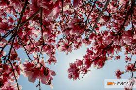 Αχ... επιτέλους, άργησε αλλά ήρθε!