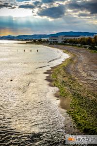 Πούντο πούντο το καλοκαίρι, ψάχτο ψάχτο δεν θα το βρεις!