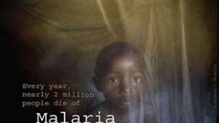 Σήμερα είναι η Παγκόσμια Ημέρα κατά της Ελονοσίας.