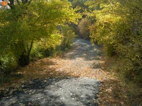 Aisimi'nin doğal güzellikleri.