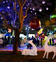 Φωτορεπορτάζ από το 'Πάρκο των Χριστουγέννων' Αλεξ/πολης.