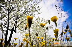 Ήρθε η Άνοιξη... αλλάξαν οι διαθέσεις;