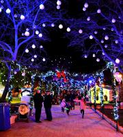 Φωτορεπορτάζ από το 'Πάρκο των Χριστουγέννων' Αλεξ/πολης.