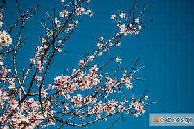 Είναι η πιο αγαπημένη εποχή η άνοιξη, τι να κάνουμε;