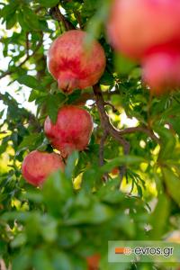 Έτσι, για το καλό της νέας ακαδημαϊκής χρονιάς.