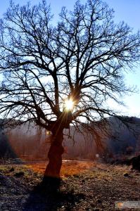 Έτσι όμορφα, όπως στην εξοχή!