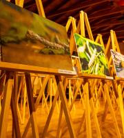 "Εικόνες από Μετάξι": Εγκαίνια της έκθεσης φωτογραφίας στο Μουσείο Μετάξης