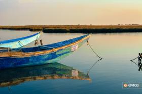 Evros Deltası'ndan güzel görüntüler