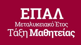 Επιδοτούμενη μαθητεία για 2.000 πτυχιούχους ΕΠΑΛ 