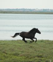 Πάμε μια βόλτα στο Δέλτα του Έβρου.