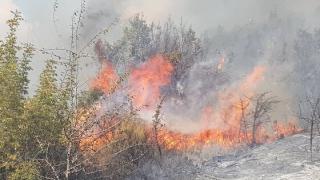 Συνεδρίασε το ΣΟΠΠ Έβρου ενόψει της αντιπυρικής περιόδου - Τι πρέπει να προσέχουμε