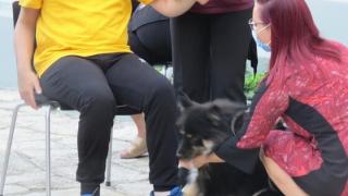 Θεραπευτικοί σκύλοι στο πλευρό ατόμων με ειδικές ανάγκες στο Σουφλί