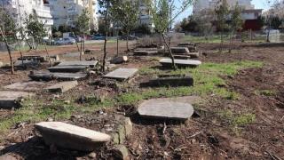 "Αποκαλύφθηκαν" επιτέλους τα εβραϊκά κοιμητήρια της Αλεξανδρούπολης (φωτο + video)
