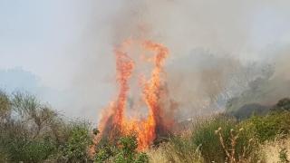 Ξανά φωτιά στο Σουφλί - Μικρής έκτασης πυρκαγιά στον οικισμό των Λαγυνών (φωτο & video)