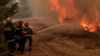 Τμήμα Δασολογίας του ΔΠΘ: " Θλιβερός ο απολογισμός των πρόσφατων δασικών πυρκαγιών"