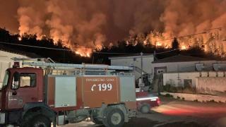 Πυροσβεστικές δυνάμεις και από την ΑΜΘ συνέδραμαν στις δύσκολες στιγμές με τις φωτιές