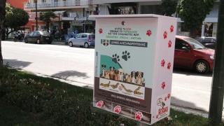 Αλεξανδρούπολη: Δωρεάν 16 κουτιά "No kaka" για τους ιδιοκτήτες σκύλων!