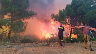 Αίσιο τέλος της πυρκαγιάς για τον οικισμό Ποντίων Σαπών - Σώθηκαν όλοι οι κάτοικοι