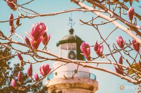 Bahar Geldi... Hoş Geldi!