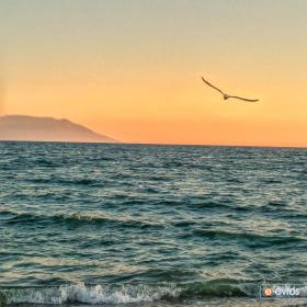 Hafta 5 Kasım - 11 Kasım 2018