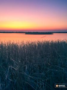 Στον υδροβιότοπο νότια των Λουτρών, στην Αλεξανδρούπολη