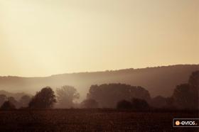 Παρεά με την πρωινή πάχνη στον κάμπο του Αρδανίου, στον Έβρο