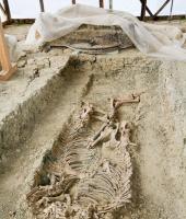 Mikri Doxipara – Zoni Burial Tomb Mikri Doxipara – Zoni Burial Tomb