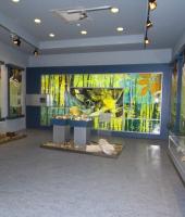 Alexandroupolis Natural History Museum Alexandroupolis Natural History Museum