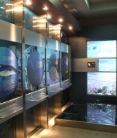 Alexandroupolis Natural History Museum Alexandroupolis Natural History Museum