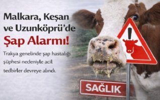 Φόβοι και στον Έβρο για τον αφθώδη πυρετό από την Τουρκία - Έκτακτα μέτρα στα σύνορα