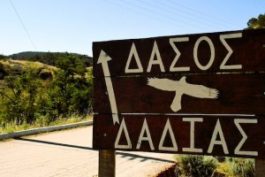 Μήνυμα Πρωθυπουργού: Έργα 86 εκατ. ευρώ για την αποκατάσταση και πρόληψη στη Δαδιά