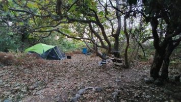 Σαμοθράκη: Οι επαγγελματίες στηρίζουν τους ελέγχους της Αστυνομίας κατά του παράνομου κάμπινγκ