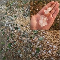 Συνεχίζεται η υποβολή δηλώσεων ζημιάς για τις πληγείσες καλλιέργειες στη Δημοτική Ενότητα Φερών