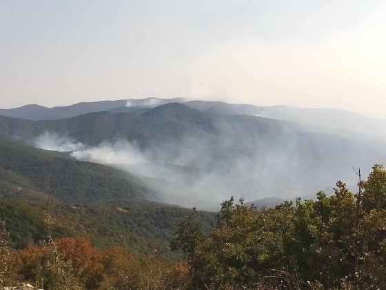 Η φωτιά έχει σβήσει στο μεγαλύτερο μέρος της.