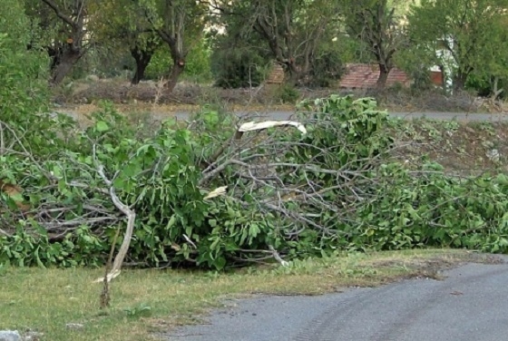 Οι κηπουροί δεν θα αφήνουν πλέον κλαδιά και χορτά στα πεζοδρόμια και άλλους κοινόχρηστους χώρους.