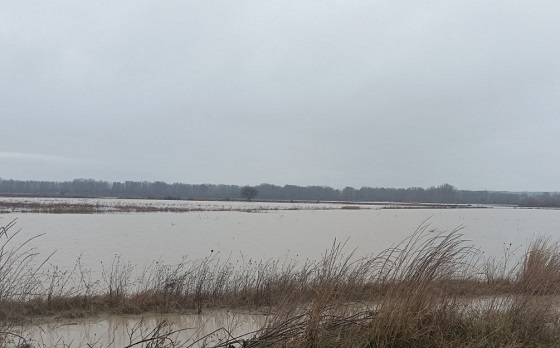 Οι υπεύθυνοι αποφάσισαν επανέναρξη δρομολογίων τρένων, χωρίς να υπολογίσουν τις πλημμύρες στον Έβρο.