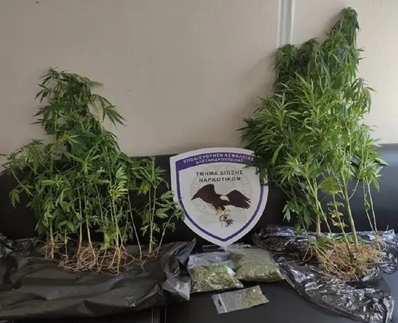 Συλλήψεις για ναρκωτικά σε όλη την Ανατολική Μακεδονία και Θράκη.