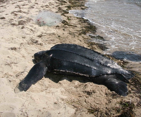 φωτογραφία αρχείου.