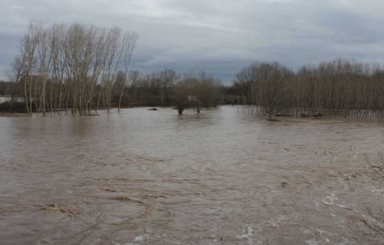 Στόχος τους είναι η καλλιέργεια, όχι η αποζημίωση.