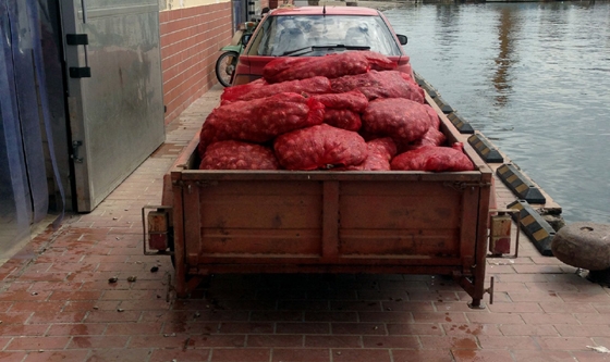 Ένας τόνος και εκατόν δύο κιλά οστράκων ακατάλληλων για ανθρώπινη κατανάλωση.