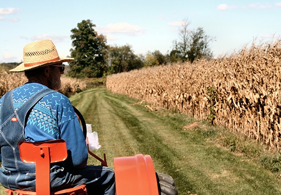 Πληρωμές κοινοτικών ενισχύσεων συνολικού ύψους 150 εκατ. ευρώ για τους εργάτες