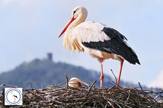 Πόρος Έβρου: Silver Βραβείο στα «Best City Awards 2016»