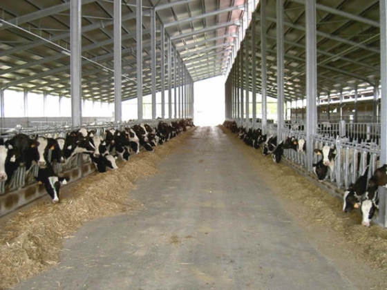 Το "Ταμείο Παρακαταθηκών και Δανείων" θα δώσει το δάνειο για το σφαγείο στις Φέρες 