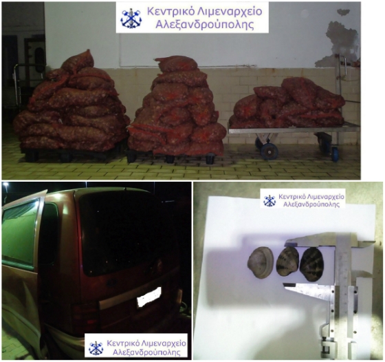 Αλεξανδρούπολη: Και άλλη κατάσχεση ακατάλληλων για κατανάλωση οστράκων μέσα σε 2 μέρες