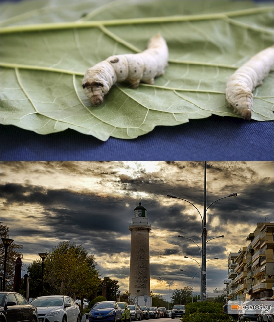 Δυτικοί Δρόμοι του Μεταξιού: Στην Αλεξανδρούπολη το πρώτο workshop
